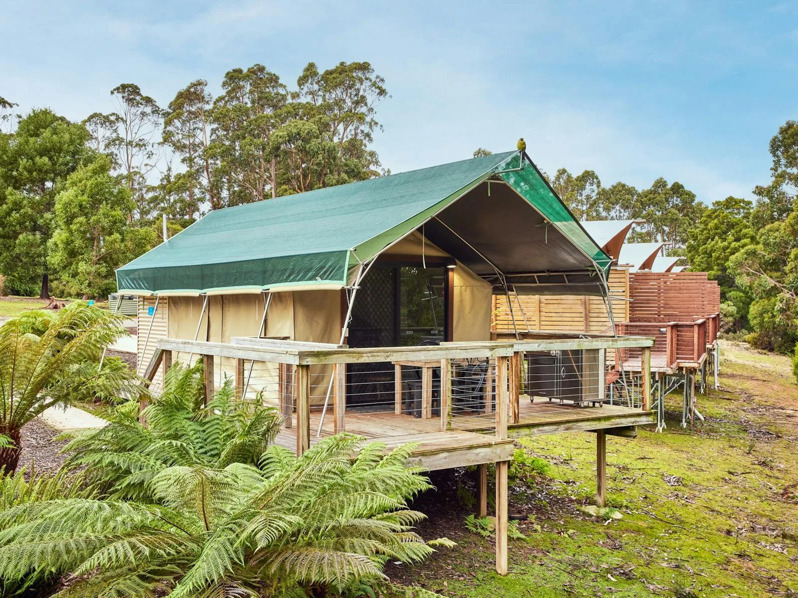 NRMA Port Arthur Holiday Park