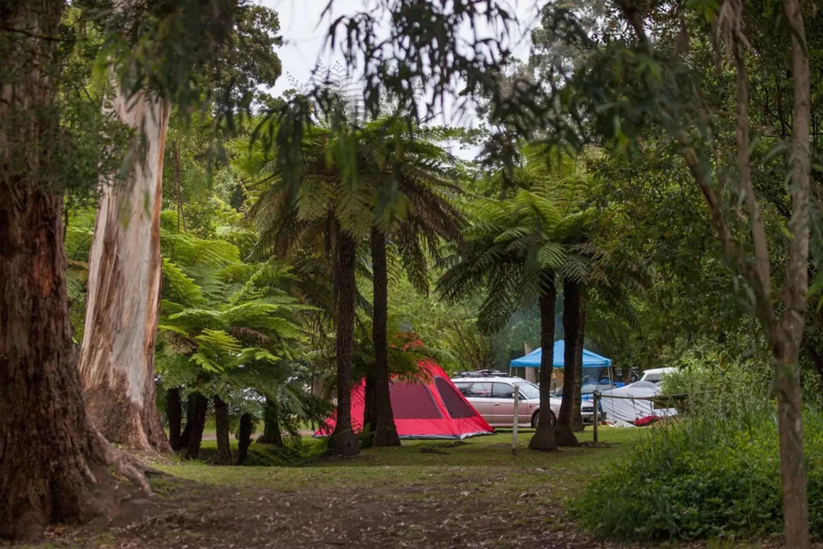 Warburton Holiday Park