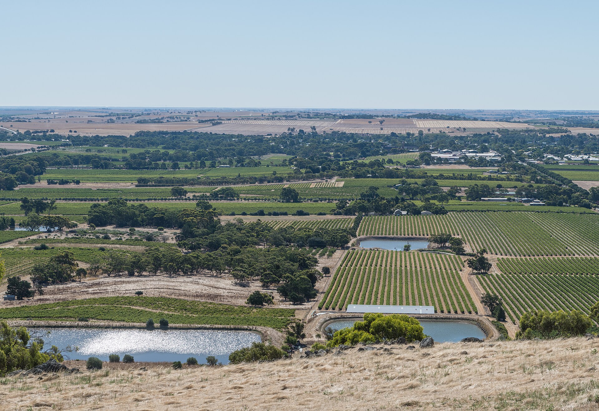 Barossa Valley: The Complete Wine Country Guide
