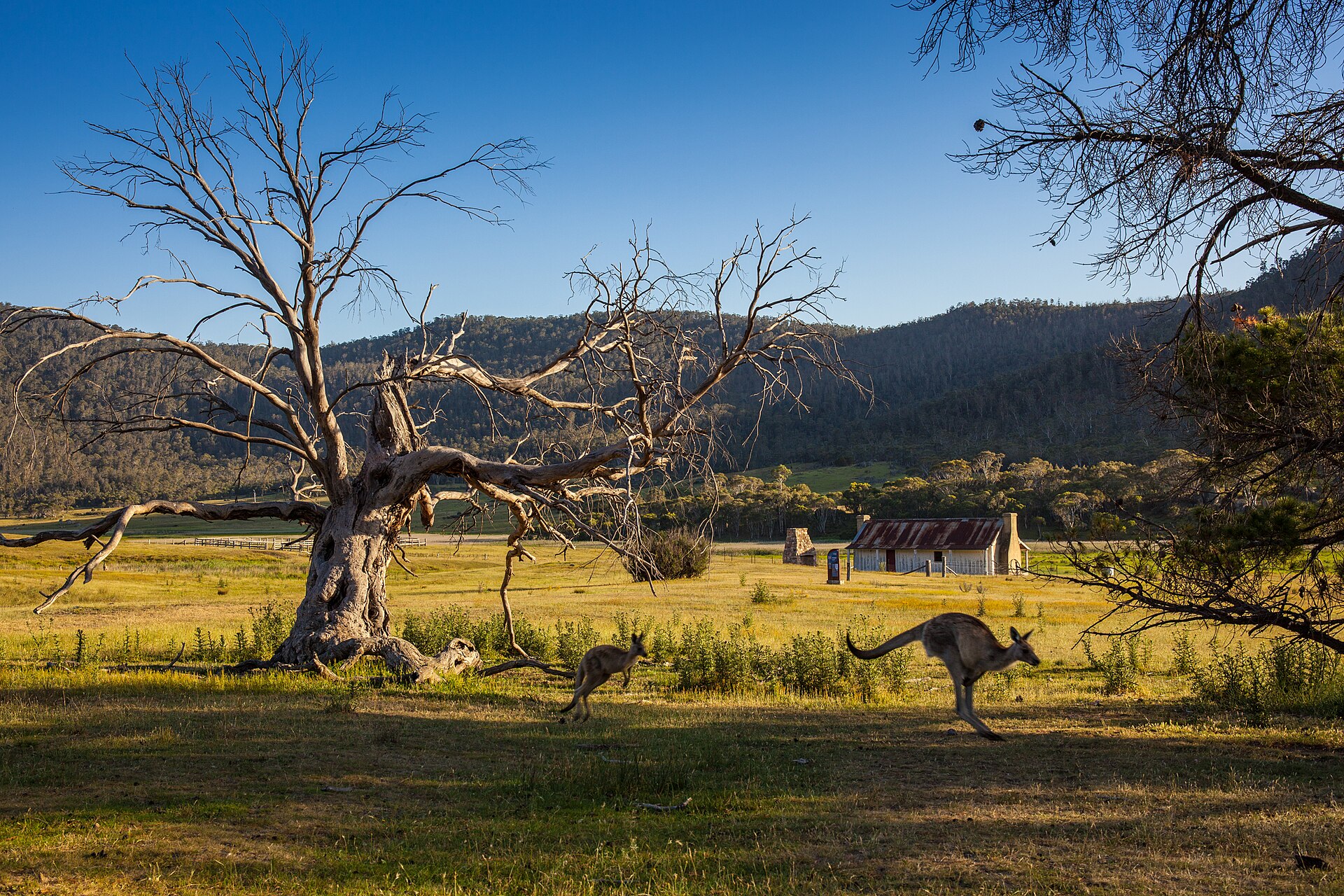 Best Day Trips from Canberra: Natural Wonders, Wine and Heritage Within Two Hours
