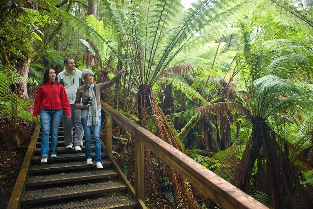 Great Ocean Road Tour - Gift Voucher or Instant Booking - Melbourne VIC