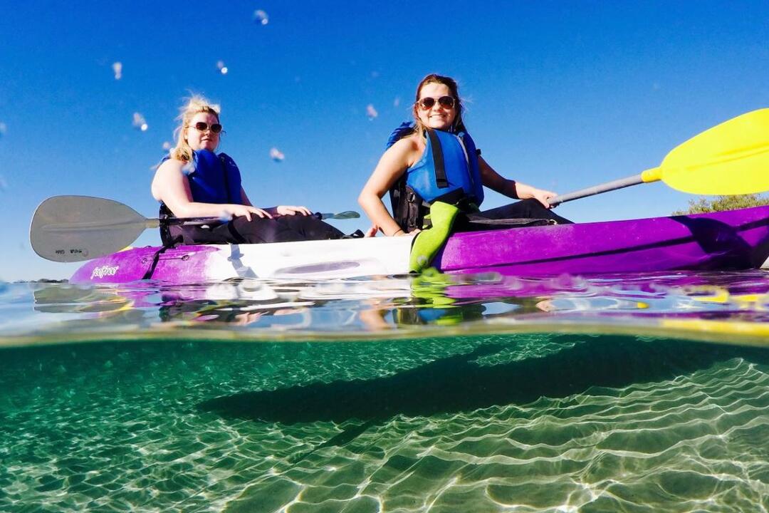 Morning Dolphin Kayaking and Snorkeling Tour - Gift Voucher or Instant Booking - Surfers Paradise QLD