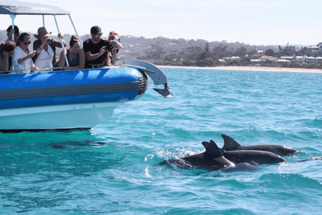 Southern Ocean Adventure for 2 Gift Voucher - Victor Harbor SA