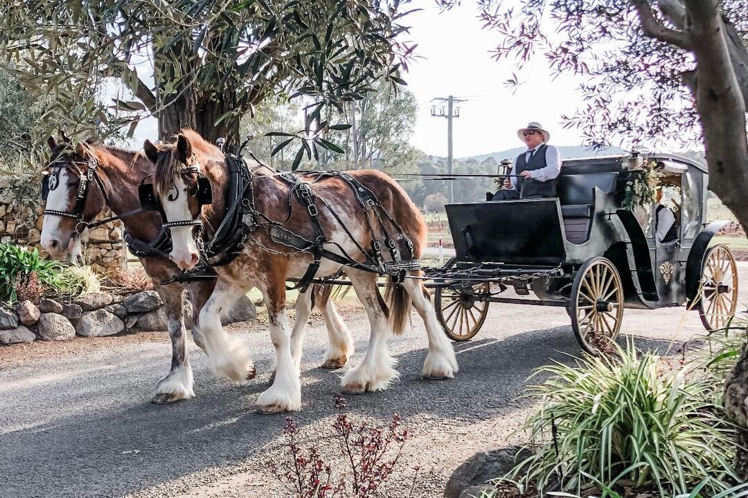 Romantic Horse and Carriage Wine Tour - Gift Voucher or Instant Booking - Pokolbin NSW