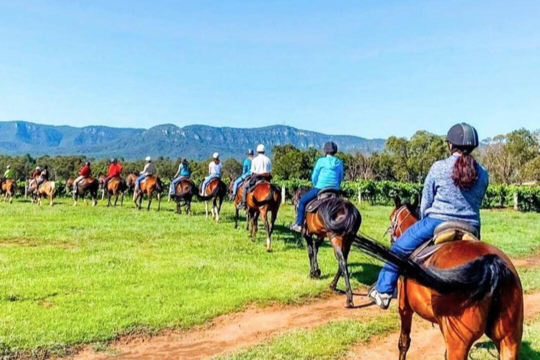 Vineyard Trail Ride Instant Booking - Pokolbin NSW