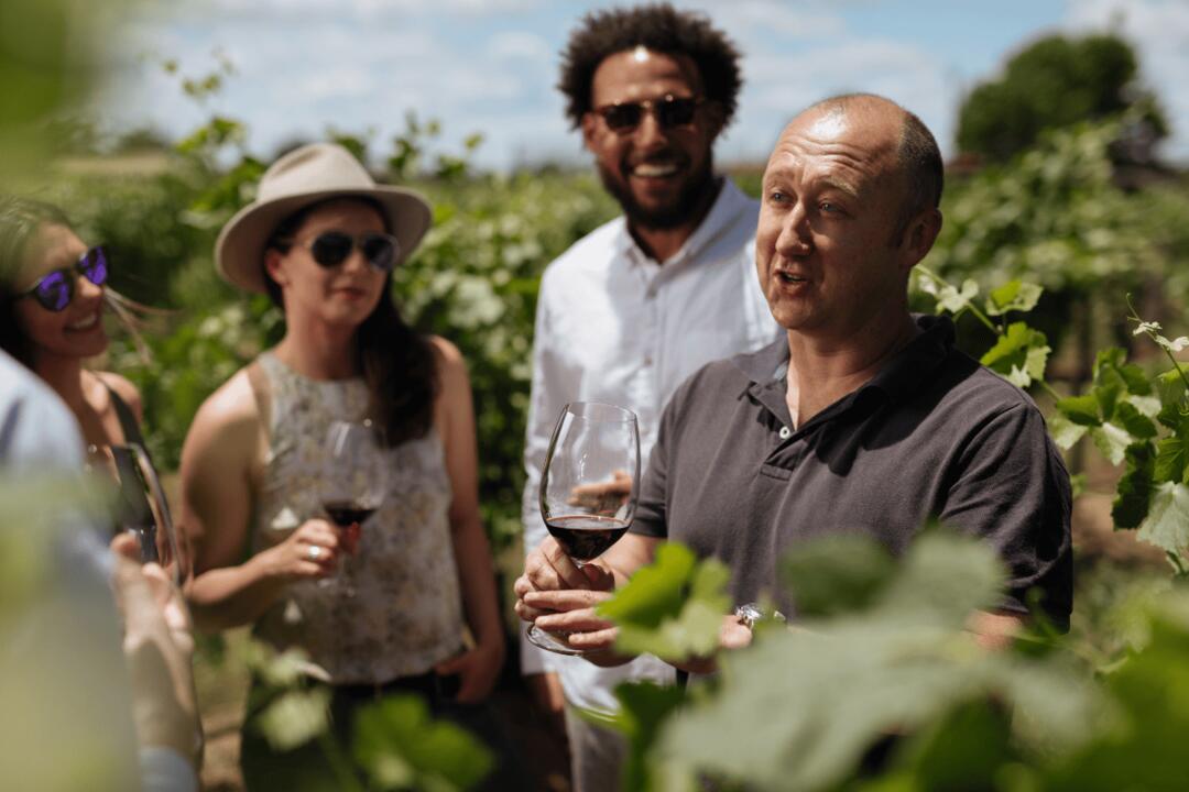 Elderton Elite Tasting Experience Instant Booking - Nuriootpa SA
