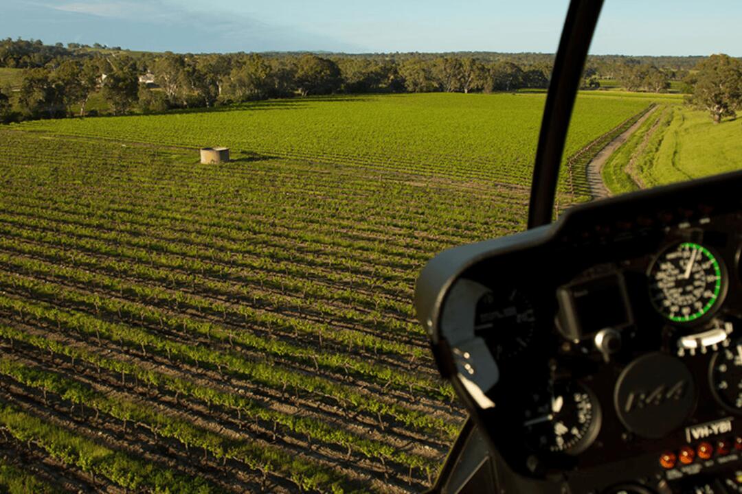 Helicopter and Wine Extravaganza at Pindarie Wines - Gift Voucher or Instant Booking - Lyndoch SA