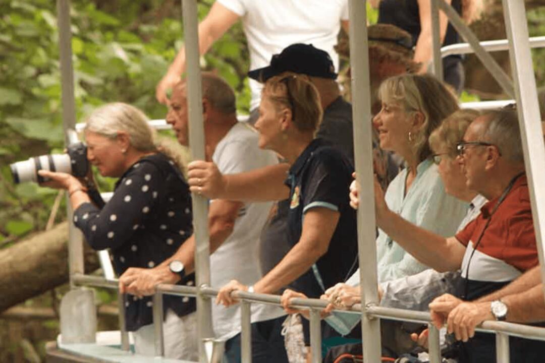 Daintree Crocodile Cruise and Discovery Tour - Gift Voucher or Instant Booking - Daintree QLD