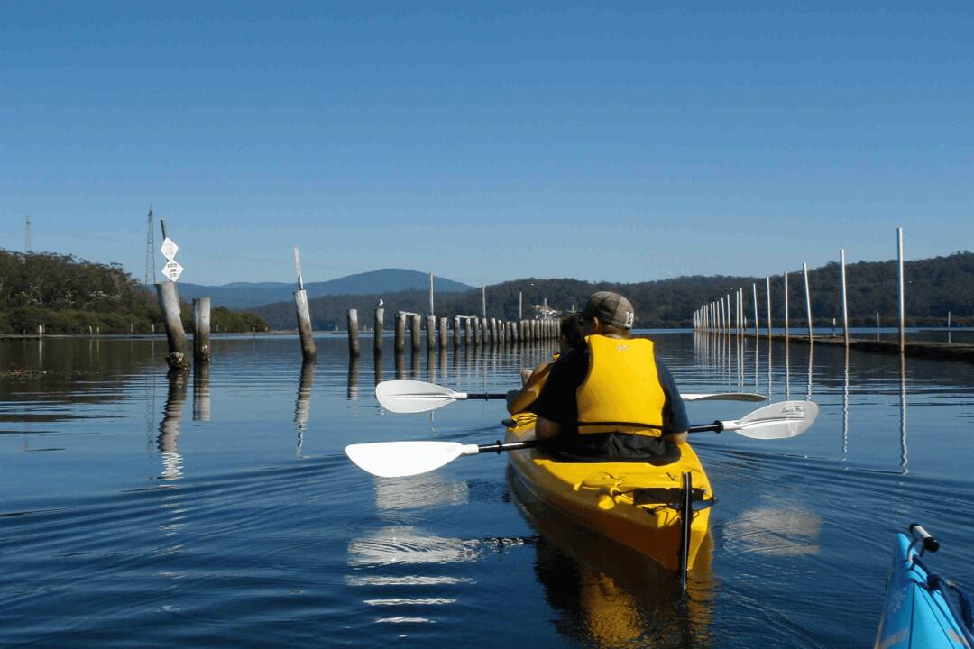 Sea Kayak Tour, Half Day For Two - Gift Voucher or Instant Booking - Batemans Bay NSW