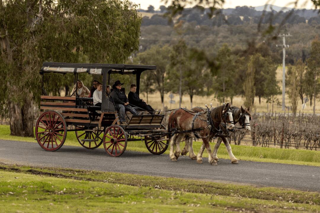Hunter Valley Wine and Produce Journey Instant Booking - Pokolbin NSW