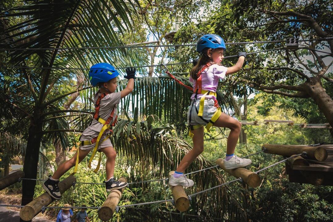Ropes Adventure for Juniors - Gift Voucher or Instant Booking - Abbotsbury NSW