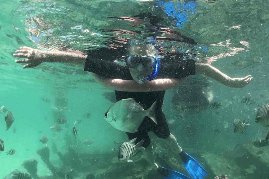 Eco Marine Safari Cruise and Snorkel Gift Voucher - Scarborough QLD
