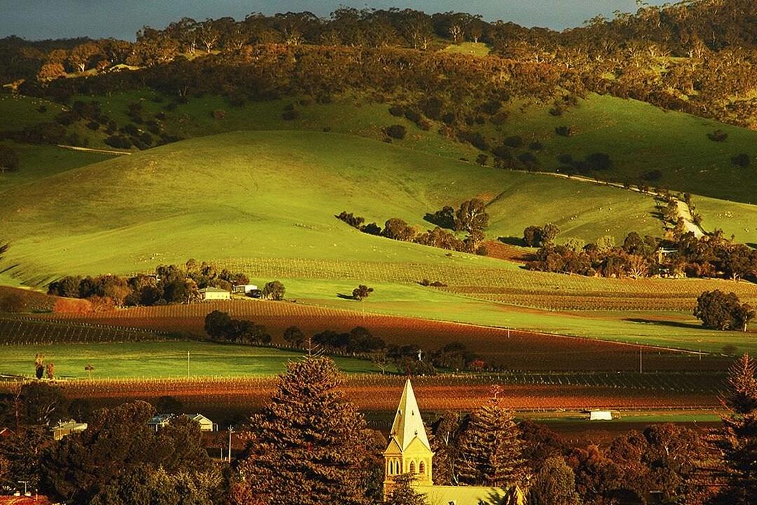 Barossa Valley Half Day Tour for Two Gift Voucher - Tanunda SA