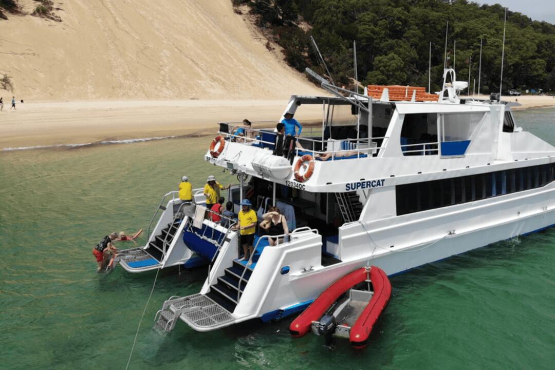 Eco Marine Cruise with Snorkelling Gift Voucher - Scarborough QLD