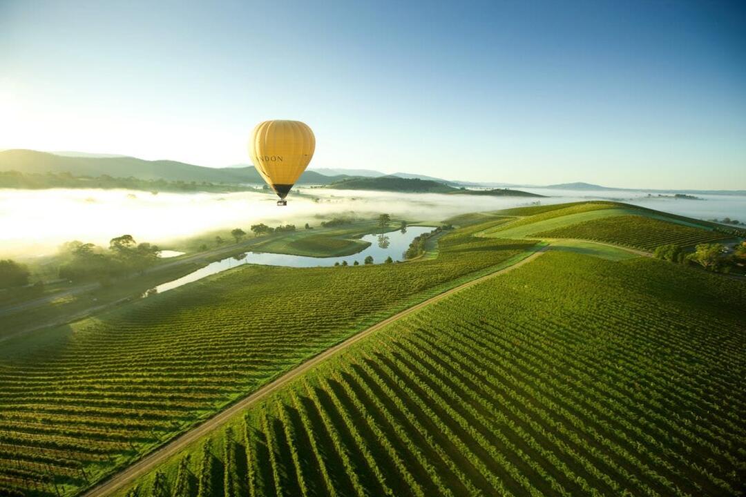 Ballooning the Yarra Valley Gift Voucher - Yarra Valley VIC