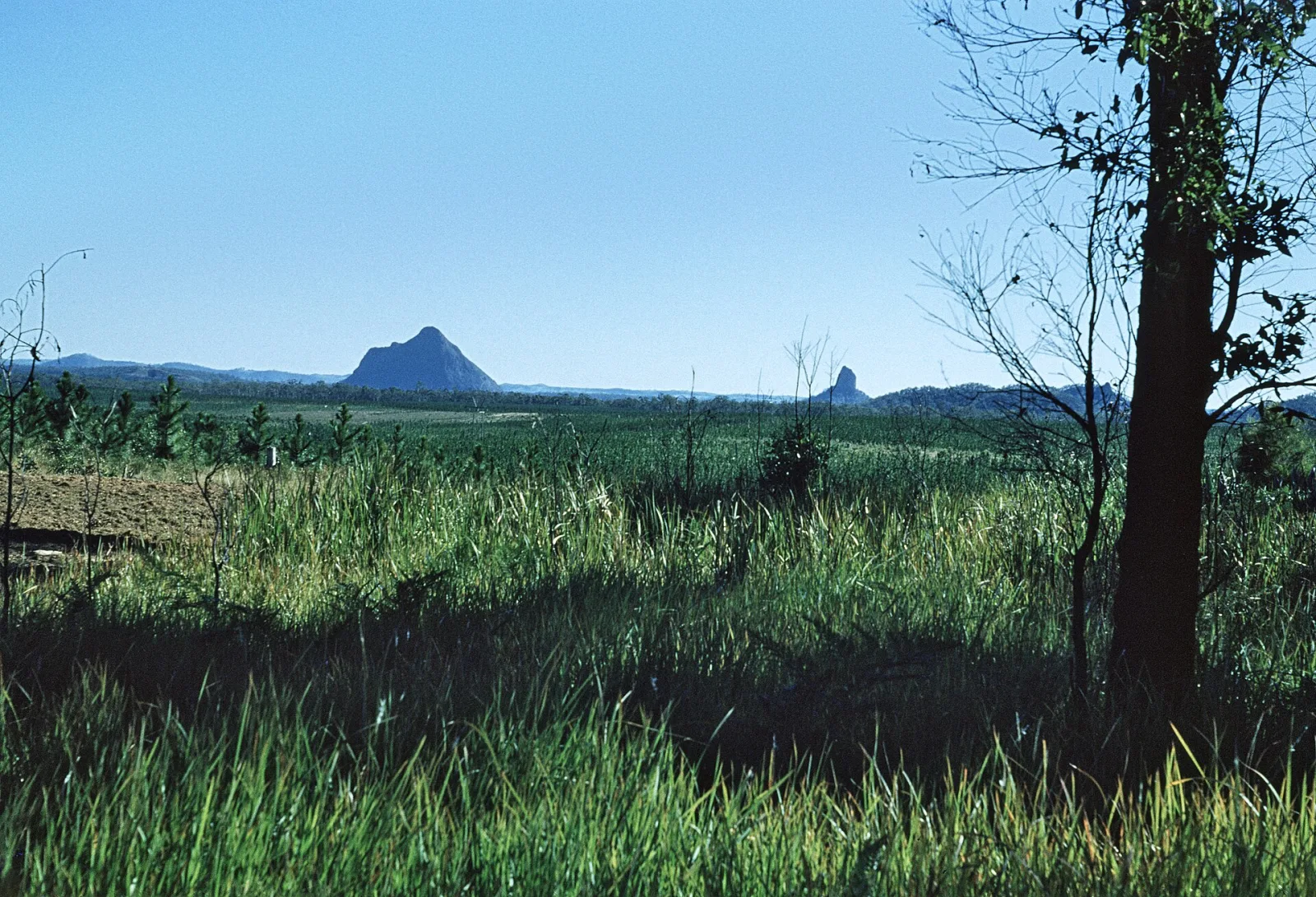 Glass House Mountains