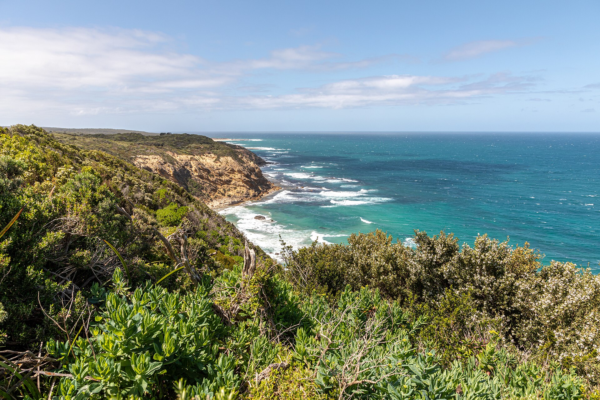 Great Otway National Park