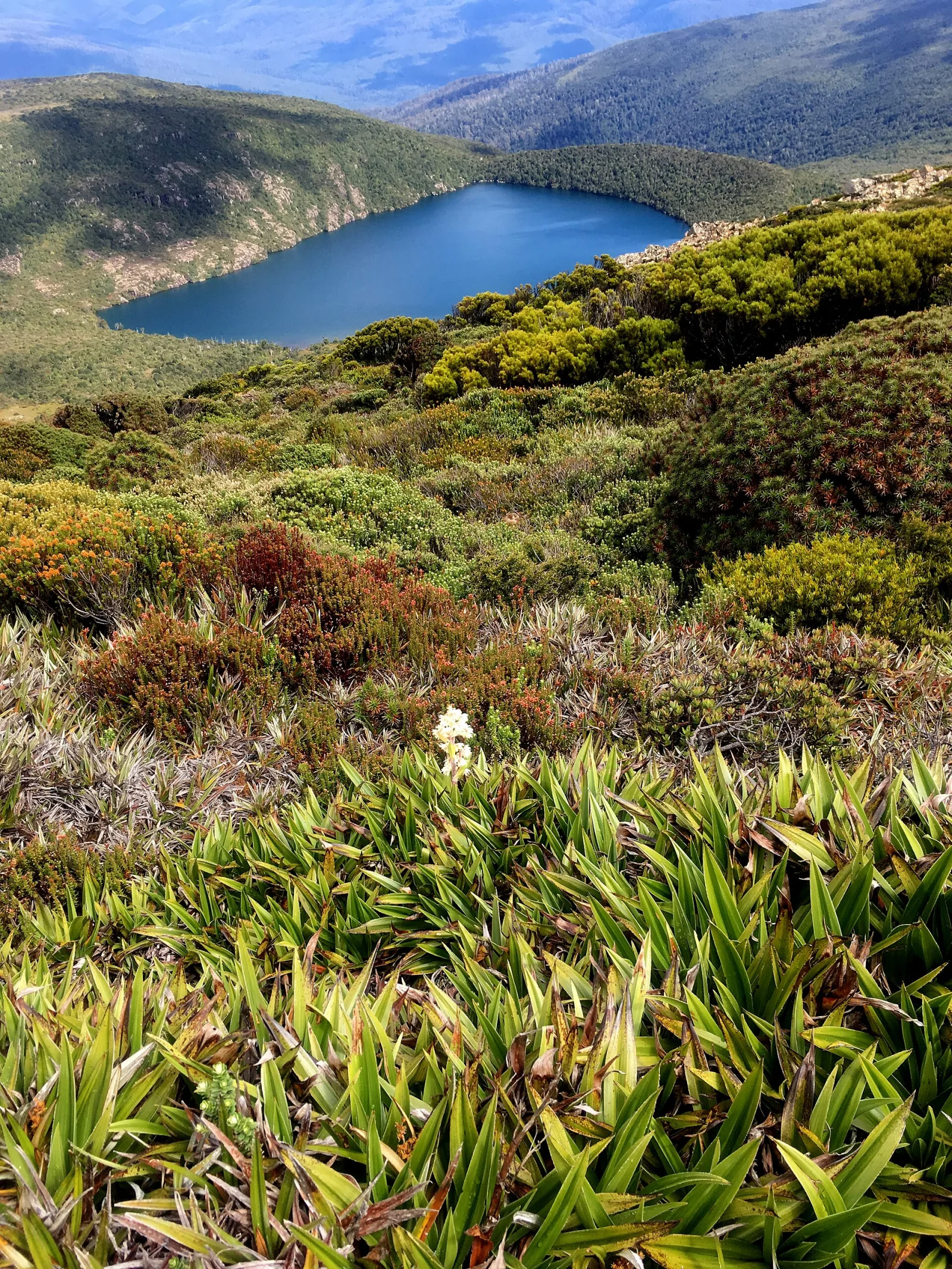 Hartz Mountains National Park