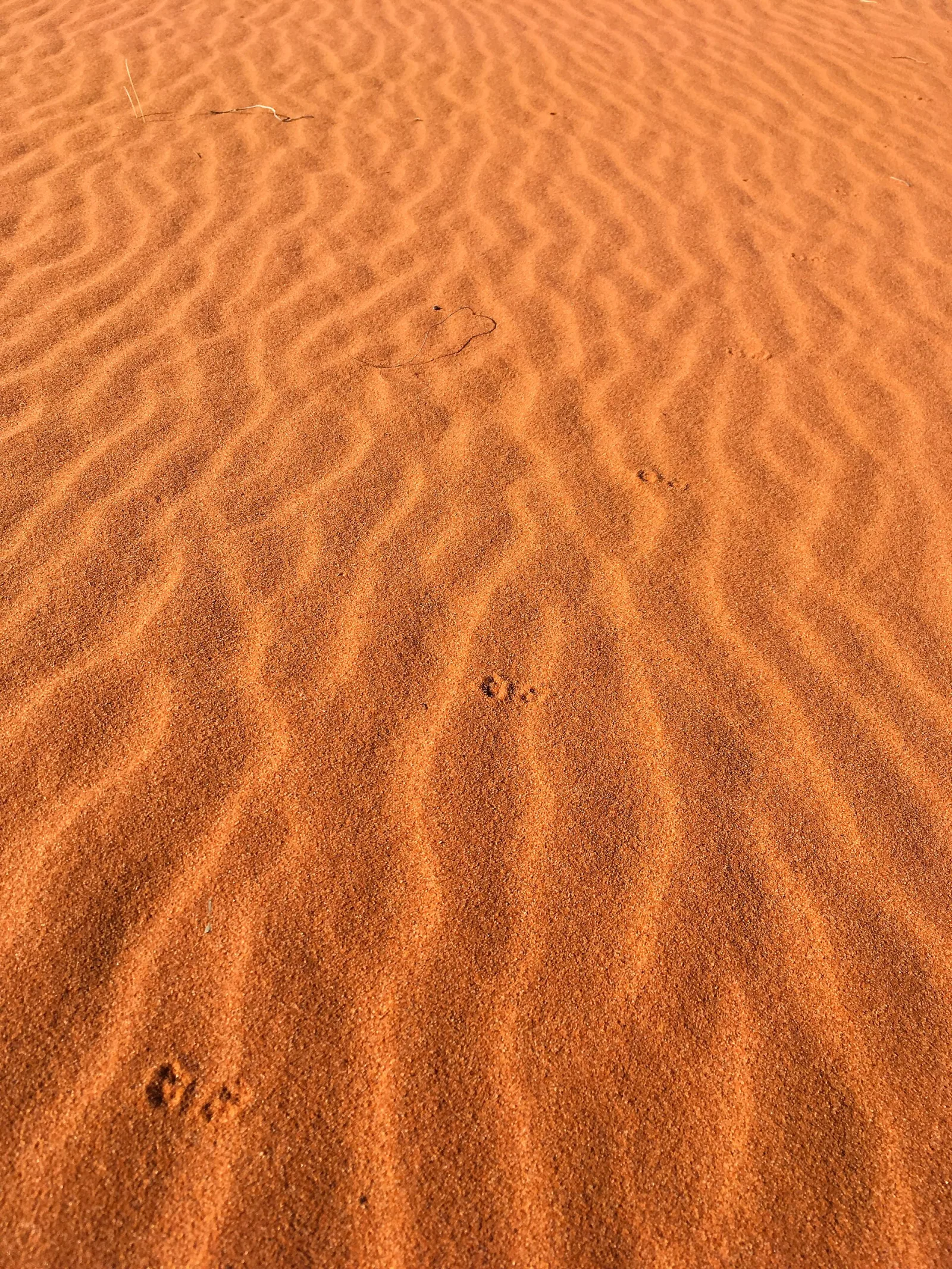 Lake Eyre (Kati Thanda)