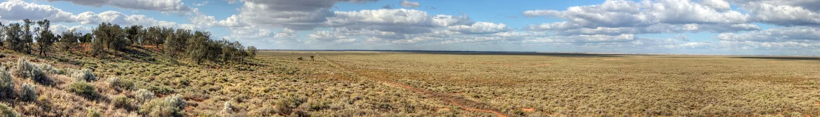 Panorama of Lake Mungo Featuring Scrub and Small Trees