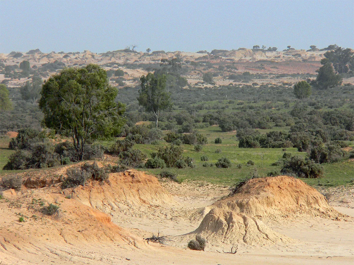 Lake Mungo Lunettes