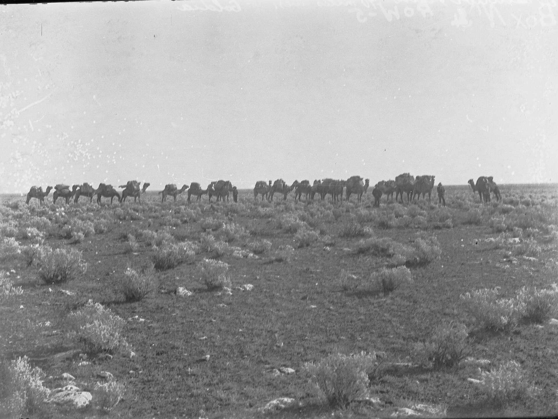 Nullarbor Plain