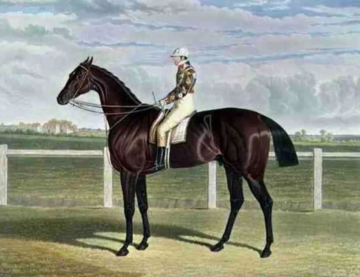 Rockingham