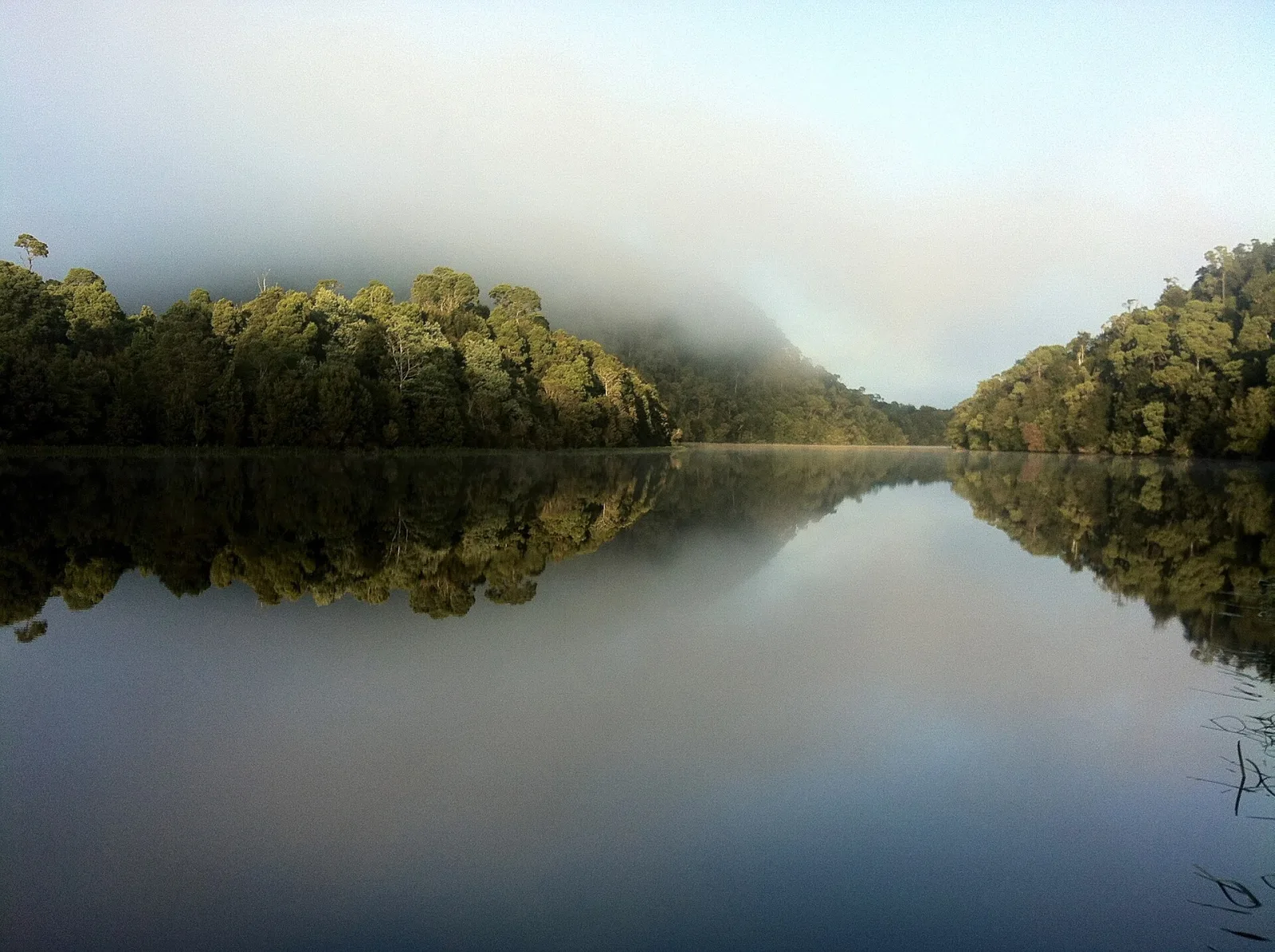 Tarkine Wilderness