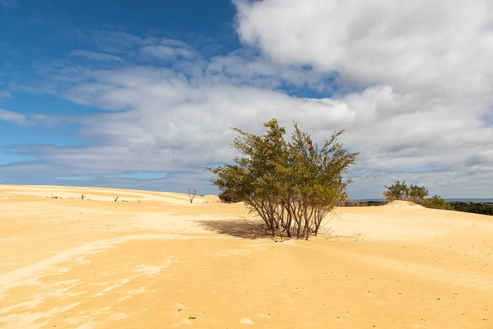 Wilsons Promontory
